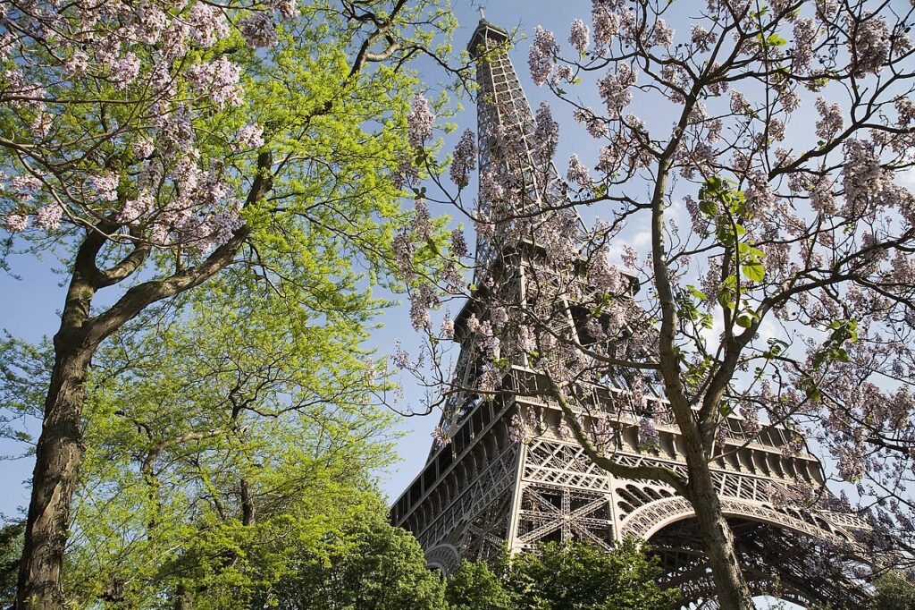 Eiffel Tower in Paris France framed by spring flowers